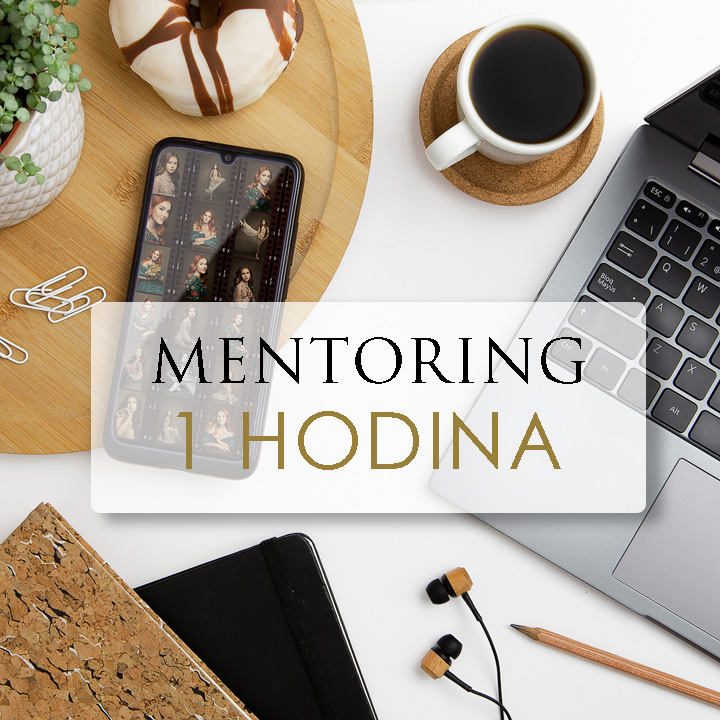 Online mentoring / hodnocení portfolia