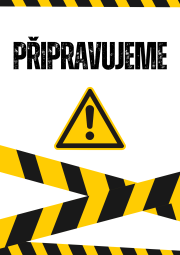 Svatební focení